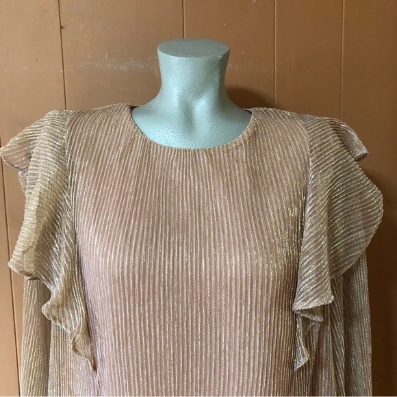 NWT Andree by Unit Blush Metallic Top with Ruffles L - Picture 5 of 9